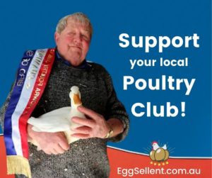 Poultry your local poultry club
