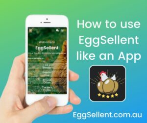Use EggSellent like an App